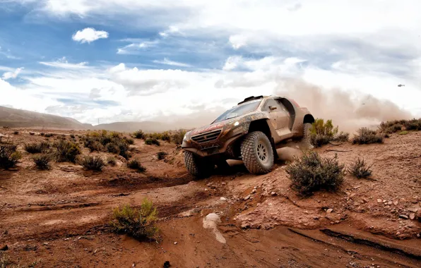 Desert, 2008, Peugeot, Rally, Dakar, DKR, baggy