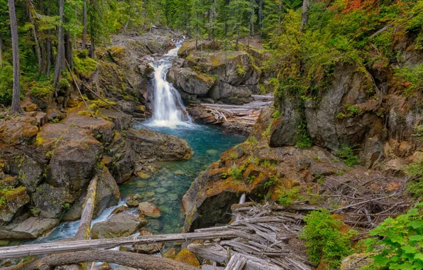 Forest, river, rocks, waterfall, Washington, Silver Falls, Packwood