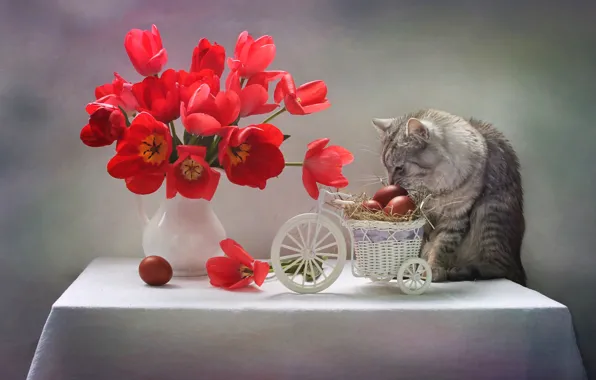 Cat, flowers, table, animal, eggs, Easter, tulips, pitcher