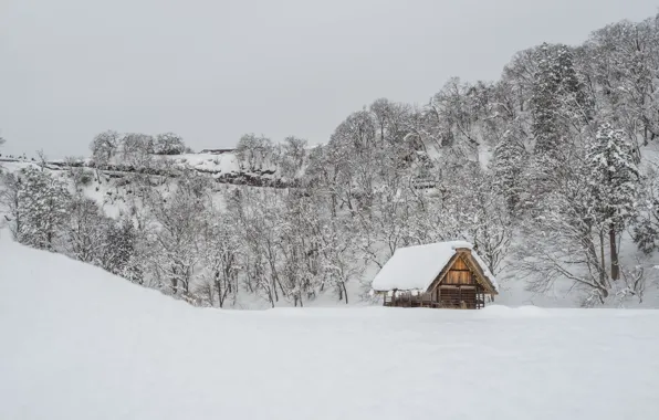 Winter, snow, trees, landscape, winter, house, hut, landscape