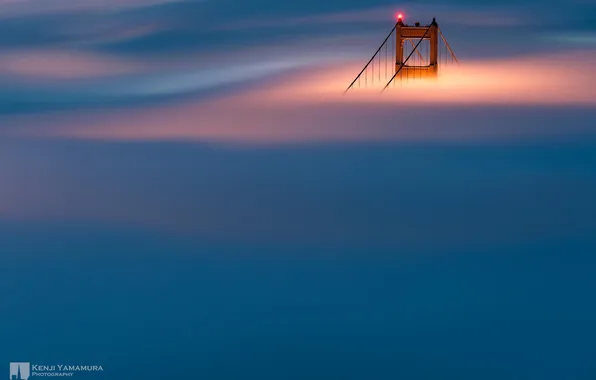 Picture lights, support, San Francisco, photographer, Kenji Yamamura, in the fog