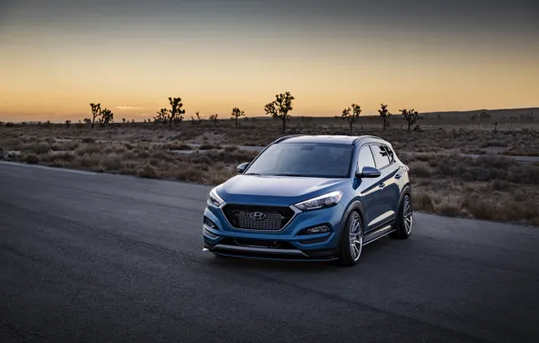 Concept, Hyundai, Sport, Tucson, SEMA 2017, Tucson Sport, Vaccar