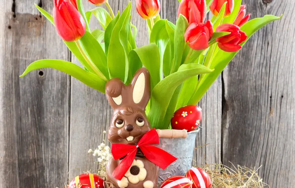 Picture eggs, Easter, tulips, red, flowers, tulips, eggs, easter