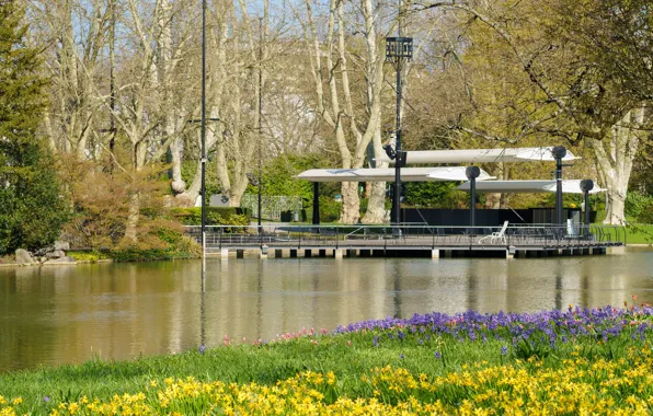 The sun, trees, flowers, Park, spring, Germany, daffodils, bokeh