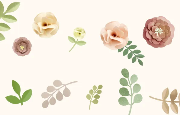 Leaves, flowers, nature