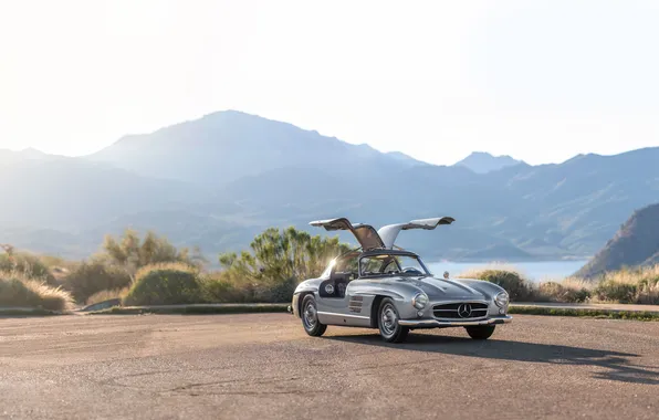 Picture Mercedes-Benz, 300SL, 1955, Mercedes-Benz 300 SL, Gullwing