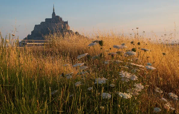Picture field, summer, grass, flowers, castle, France, view, spikelets