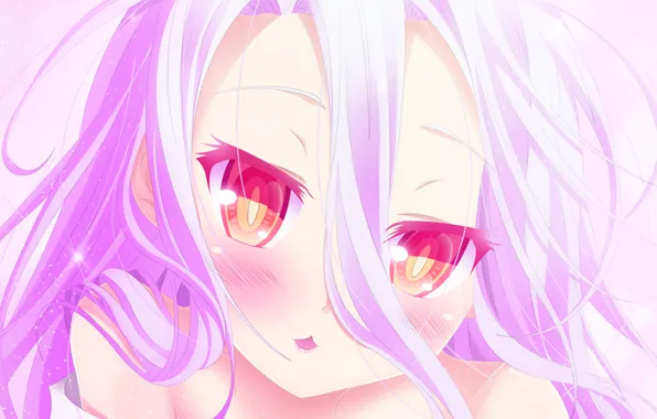 Download No Game No Life Riku Dola Picture