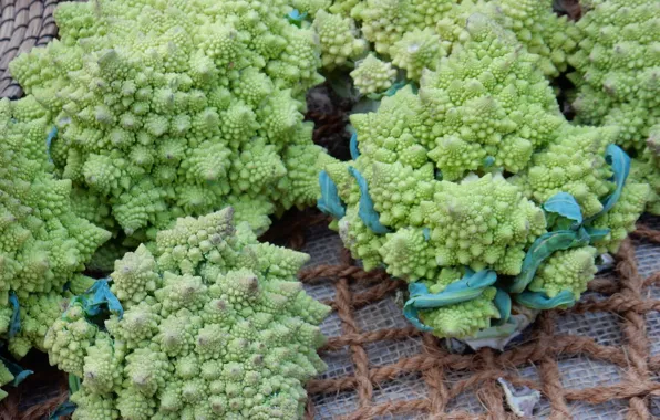 Background, widescreen, Wallpaper, wallpaper, vegetables, widescreen, background, beautiful Wallpaper