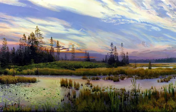 Forest, grass, clouds, trees, landscape, nature, lake, cane