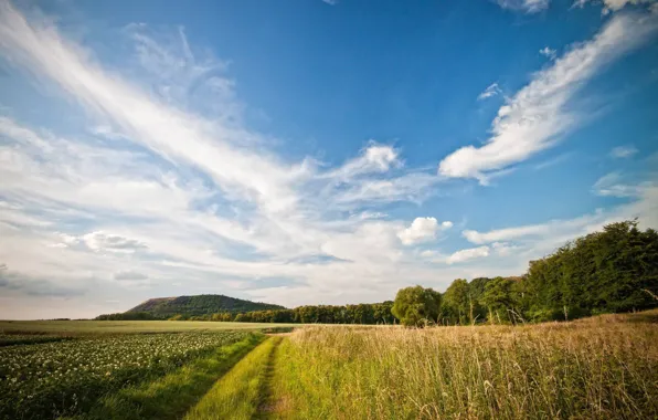 Road, field, summer, horizon, Landscape, clouds, landcsape