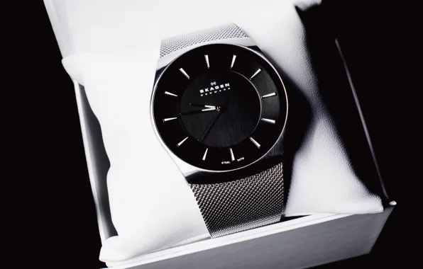 Picture watch, watch, Skagen