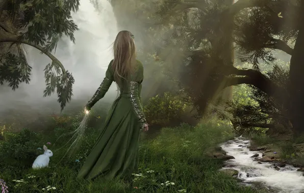 Forest, stream, Girl, white rabbit
