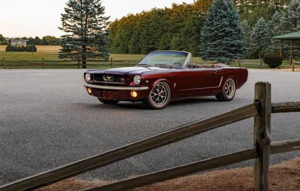Picture car, Mustang, Ford, trees, Ringbrothers, 1965 Ford Mustang Convertible, Ford Mustang Uncaged