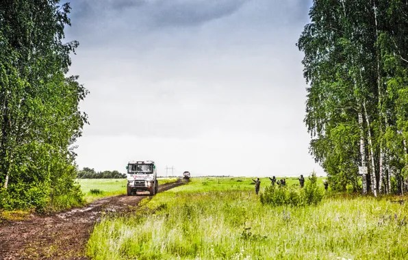 Nature, Grass, Sport, Summer, Speed, Race, Dirt, Trucks