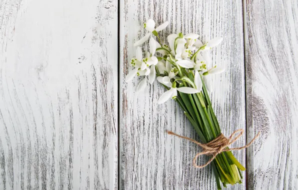 Flowers, bouquet, snowdrops, white, white, flowers, spring, snowdrops