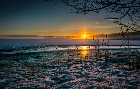 Cold, ice, winter, grass, the sun, snow, sunset, lake