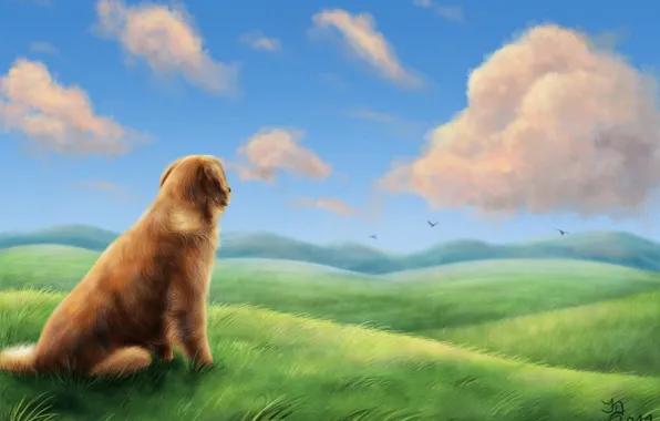 Picture field, grass, clouds, birds, the wind, hills, dog, art