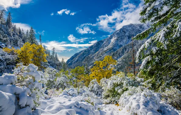 Picture autumn, the sky, clouds, snow, trees, mountains