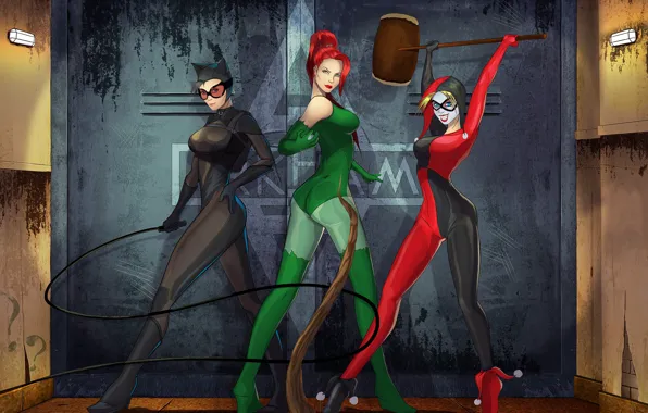 Picture batman, dc comics, catwoman, poison ivy, harley quinn, Gotham City Sirens