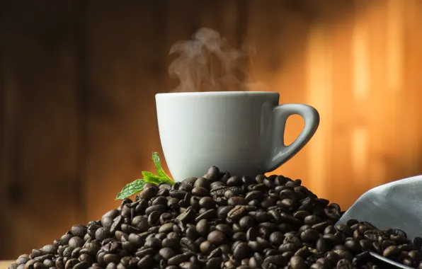 Coffee, grain, Cup, hot, cup, beans, coffee