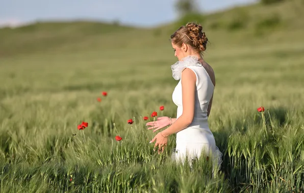 Field, summer, girl, flowers, nature, pose, hills, Maki