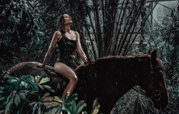 Leaves, water, girl, pose, animal, horse, wet, top