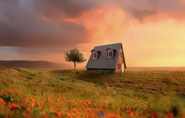 Field, summer, sunset, flowers, rendering, tree, dawn, meadow