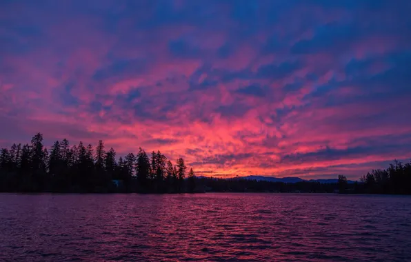 The sky, trees, lake, the evening