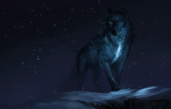 Background, wolf, predator, beast