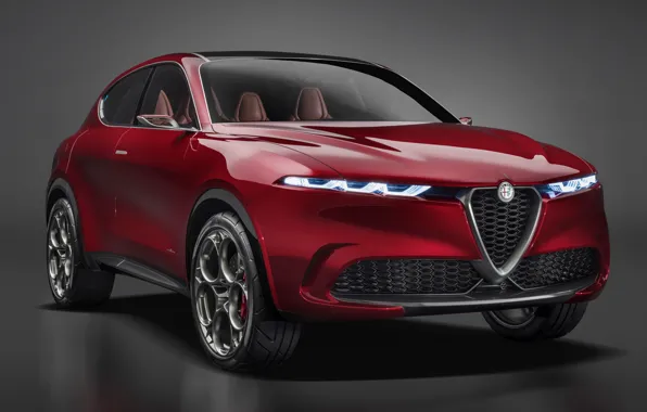 Concept, Alfa Romeo, Tonal
