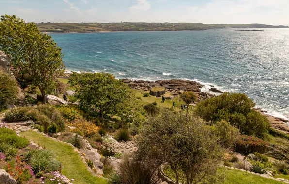 Sea, the sky, the sun, trees, flowers, stones, people, shore