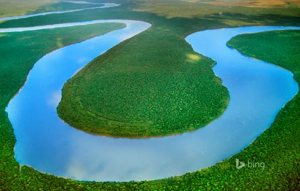 Picture trees, river, border, Brazil, Argentina, Iguazu, iguazu