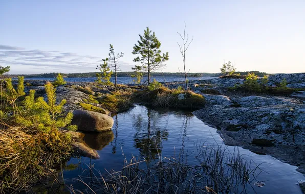 Landscape, nature, lake