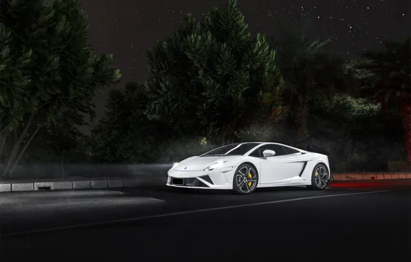 Picture night, Lamborghini, white, Gallardo, Lamborghini, night, front, LP560