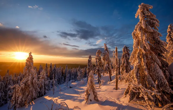 Wallpaper winter, forest, the sky, the sun, clouds, rays, light, snow ...