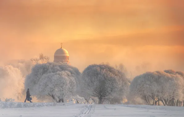 Winter, frost, snow, trees, Church, male, walk, cold