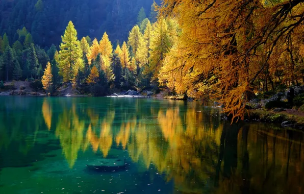 Autumn, forest, trees, lake, reflection