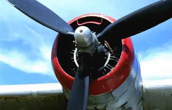 The plane, propeller, blades