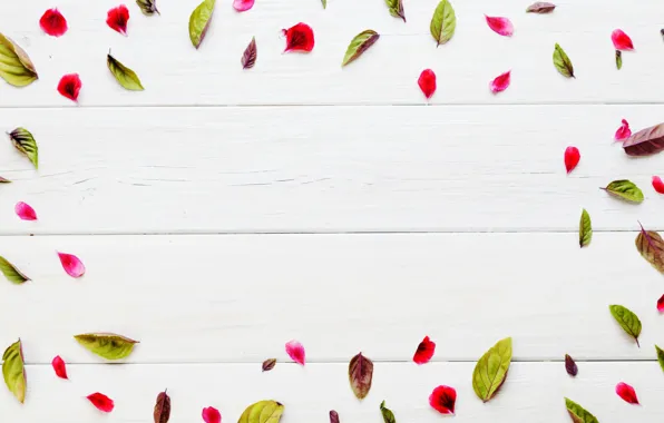 Picture leaves, texture, petals, wooden background