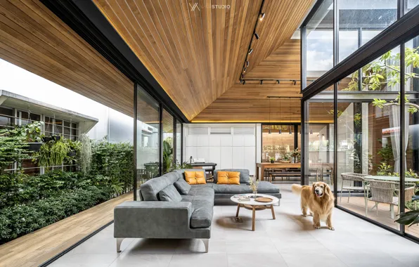 Design, furniture, dog, the room, The Roof House