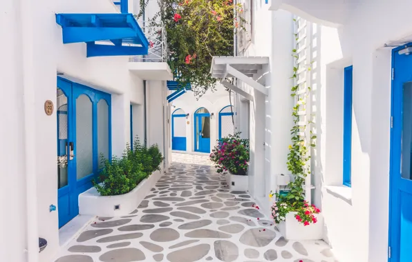 Picture street, home, flowerbed, white house, blue door