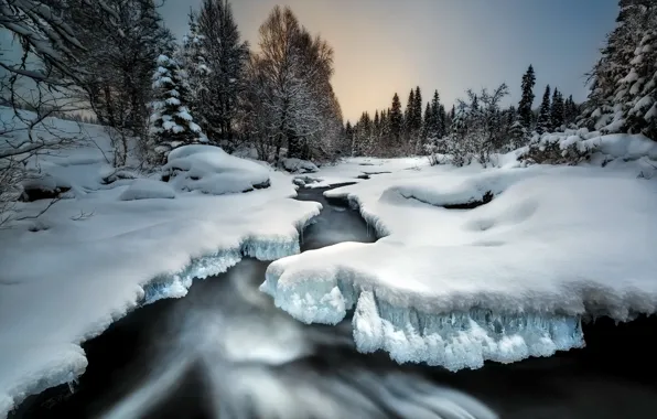 Picture winter, snow, river