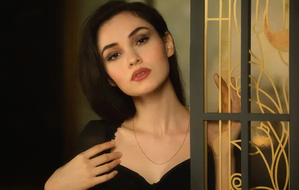 Look, model, brunette, beauty, Alexey Nazarov, Anna Melikhova