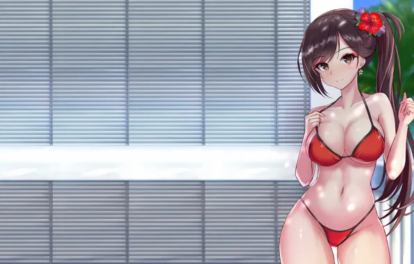 Girl, sexy, cleavage, long hair, brown hair, brown eyes, boobs, anime