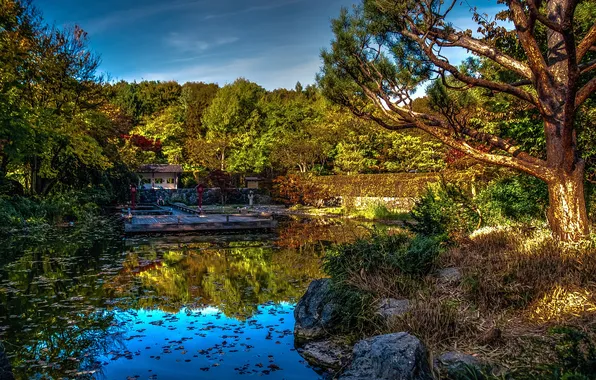 Picture trees, pond, Park, stones, HDR, Germany, Bayern, the bridge