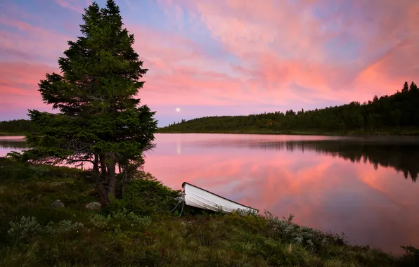 Forest, the sky, river, the moon, boat, pink