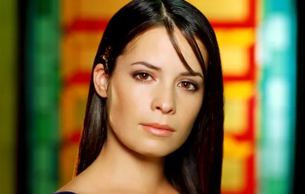 Picture look, background, actress, Holly Marie Combs, Holly Marie Combs, hair