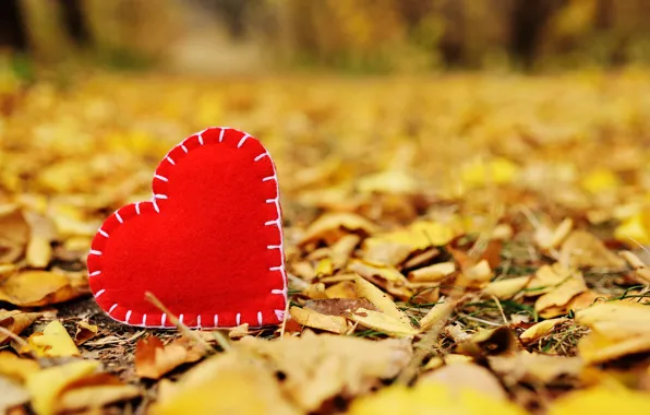 Autumn, leaves, love, Park, heart, yellow, love, heart