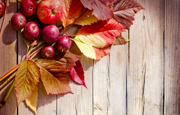 Picture autumn, leaves, apples